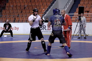 开云全站下载-搏击台上竞技水平持续提高，搏击台上竞技水平持续提高怎么办